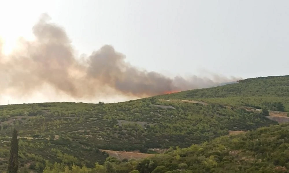 Φωτιές: Οριοθετήθηκαν τα μέτωπα σε Γραμματικό, Βαρνάβα και Μαραθώνα - Ξεκίνησαν από κεραυνό